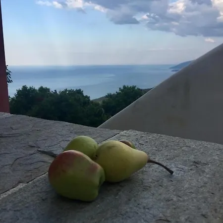 Sklithro In The Heart Of The Forest With Magnificent View Of The Sea Just 10 Minutes From It *